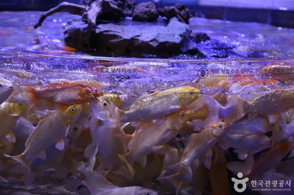 매직플로우 (6)