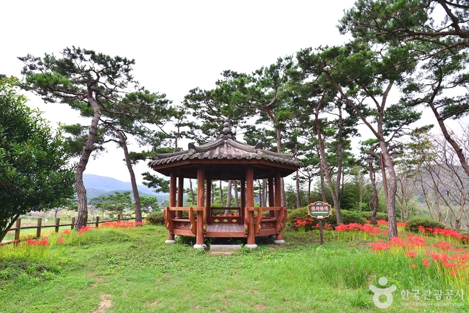 전남_영광_영광불갑테마공원 (2)