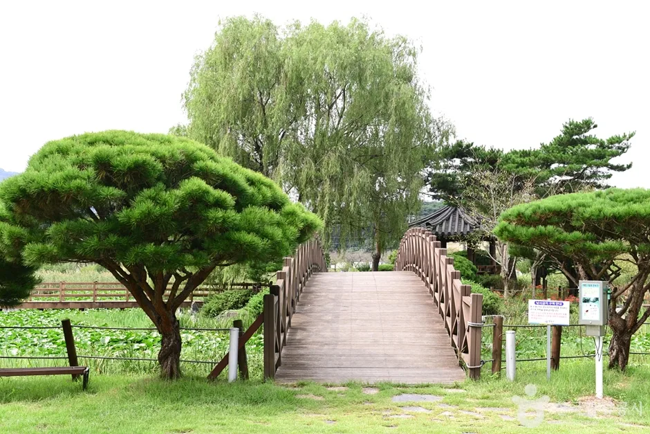 전남_영광_영광불갑테마공원 (23)