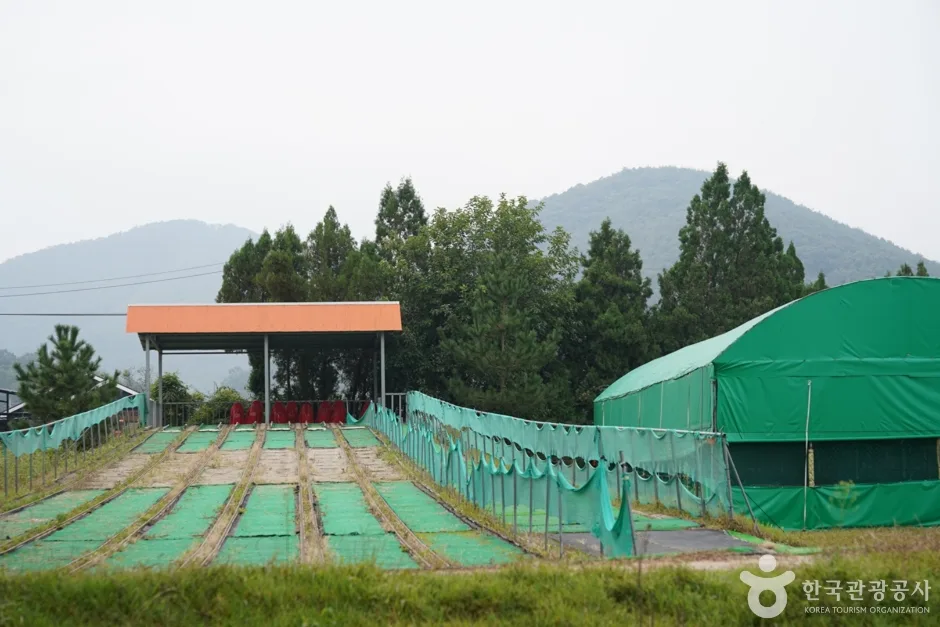 임실치즈학교 경주체험장 (10)