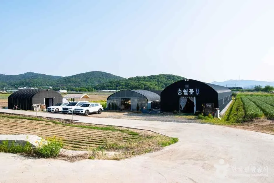 숨쉴꽃 허브 체험농장