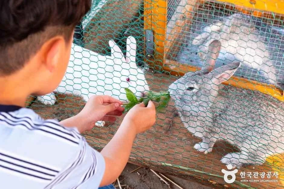대구_달성_숨쉴꽃 허브 체험농장_체험_1.jpg