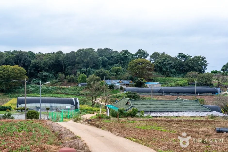 서산시_충남 서산빛들마을 (8)