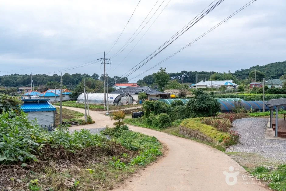 서산시_충남 서산빛들마을 (6)