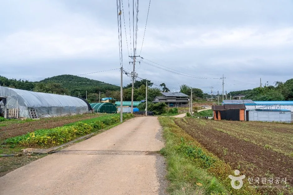 서산시_충남 서산빛들마을 (5)