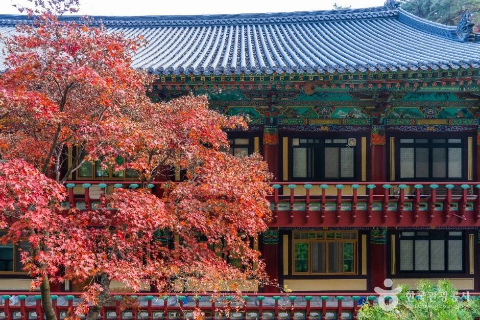 단양 구인사 (3) 