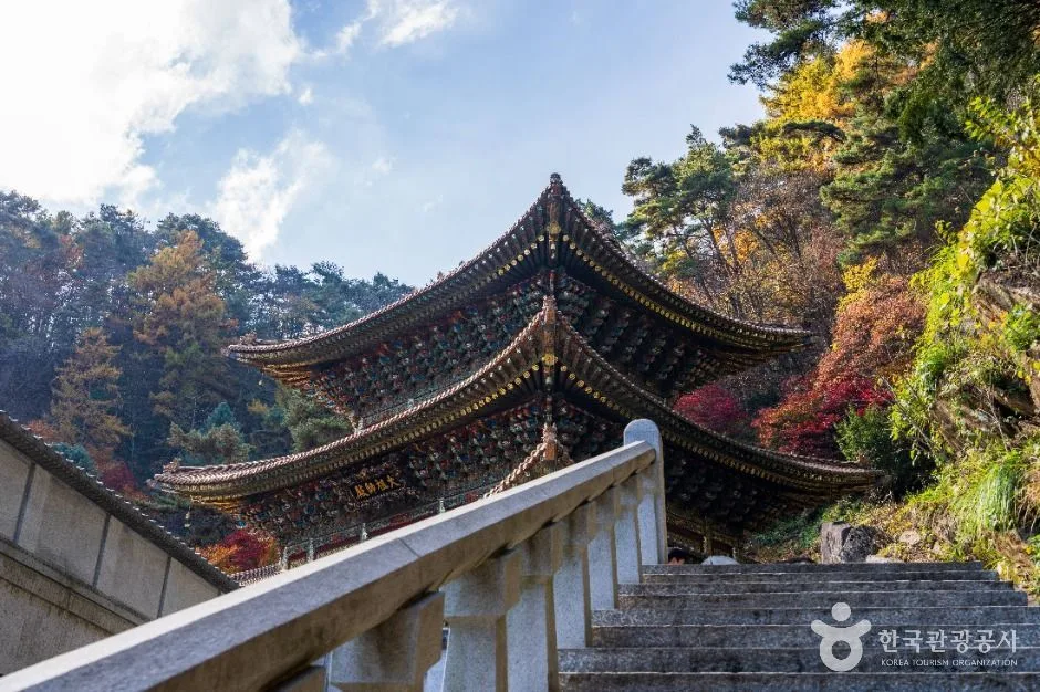 단양 구인사 (2) 
