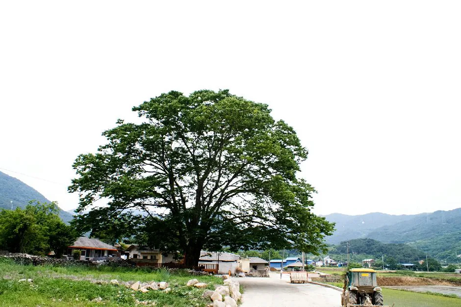 운리마을