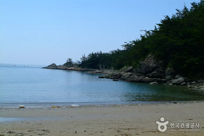 진도_신전해변 (2).jpeg