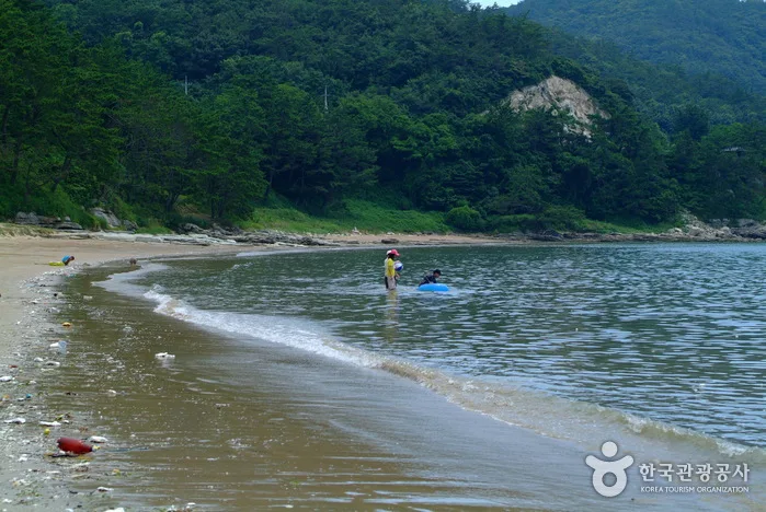 진도_신전해변 (3).jpeg