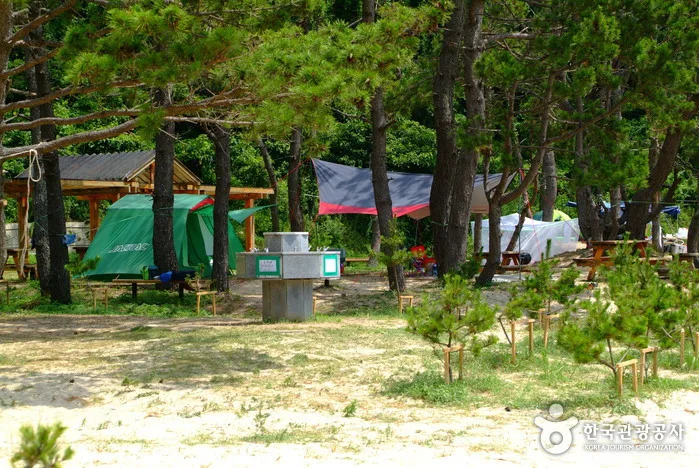 진도_신전해변 (6).jpeg