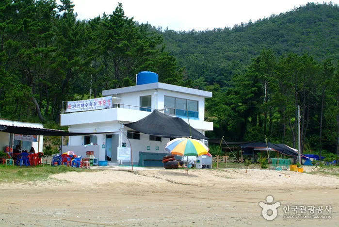 진도_신전해변 (4).jpeg