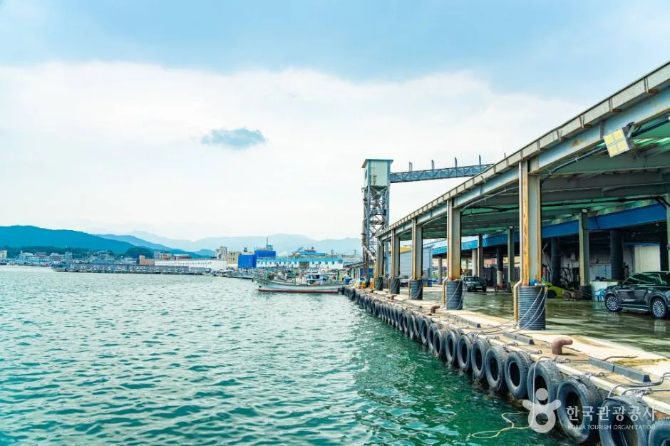 강원고성_거진항 (6)