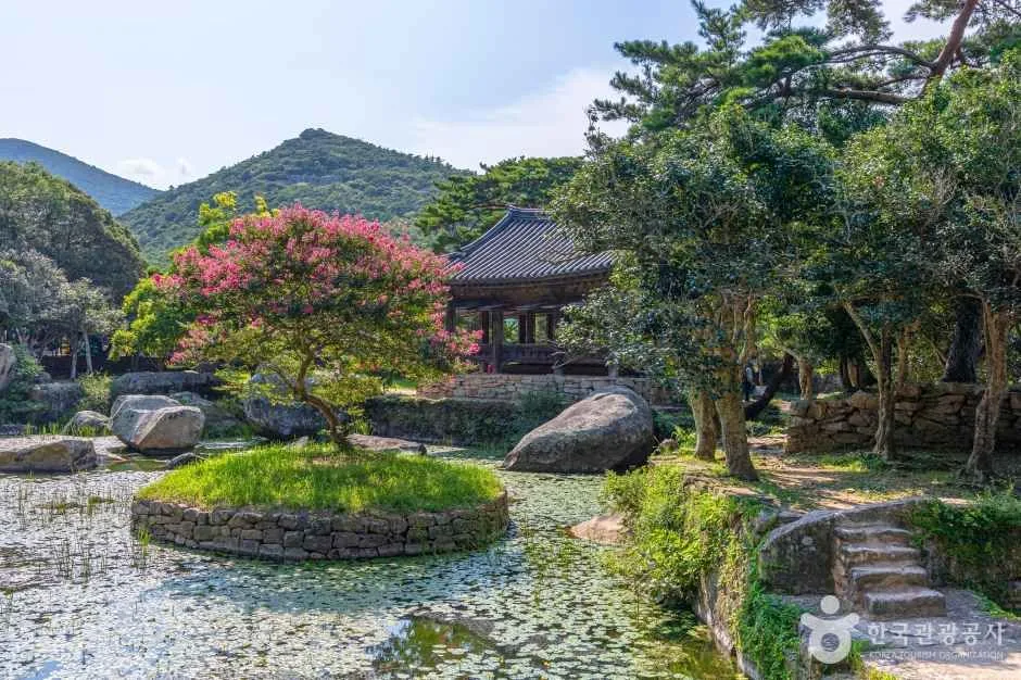 보길도 윤선도 원림 (10)