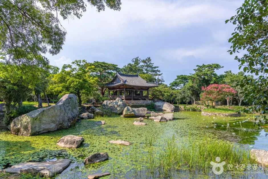 보길도 윤선도 원림 (9)