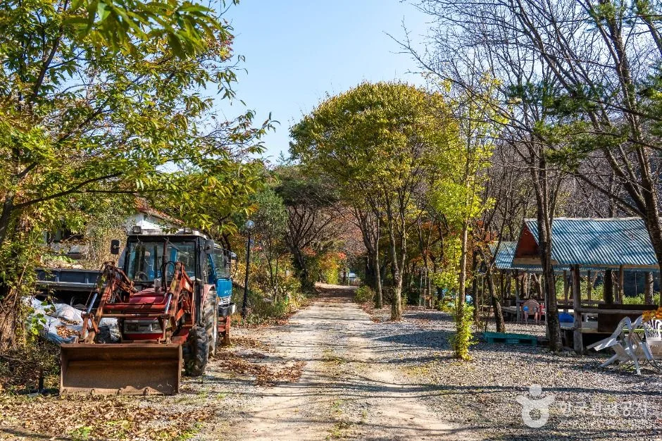 제천_진소마을 (4)