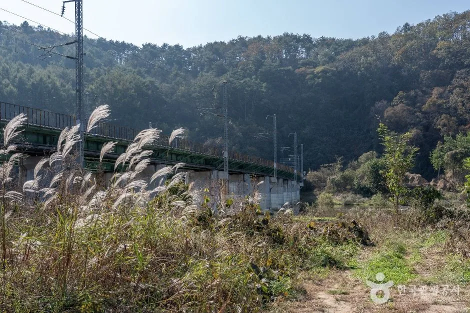 제천_진소마을 (5)
