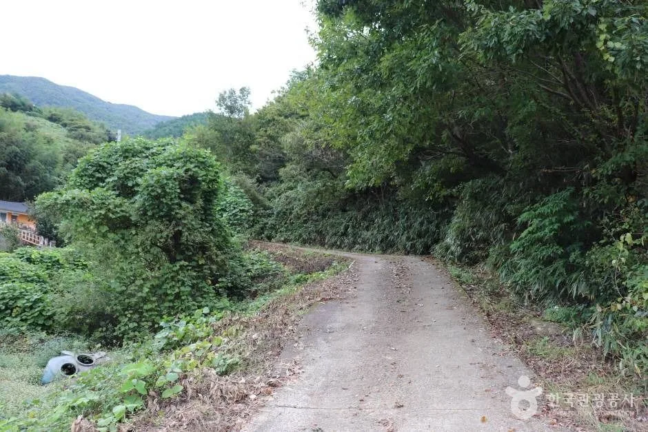 구곡산 (4)_e