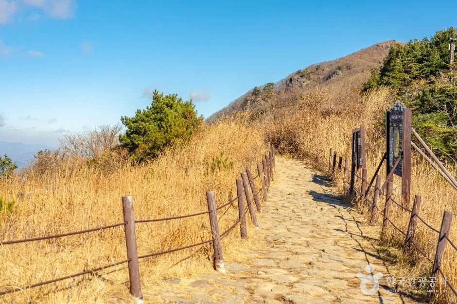 정령치