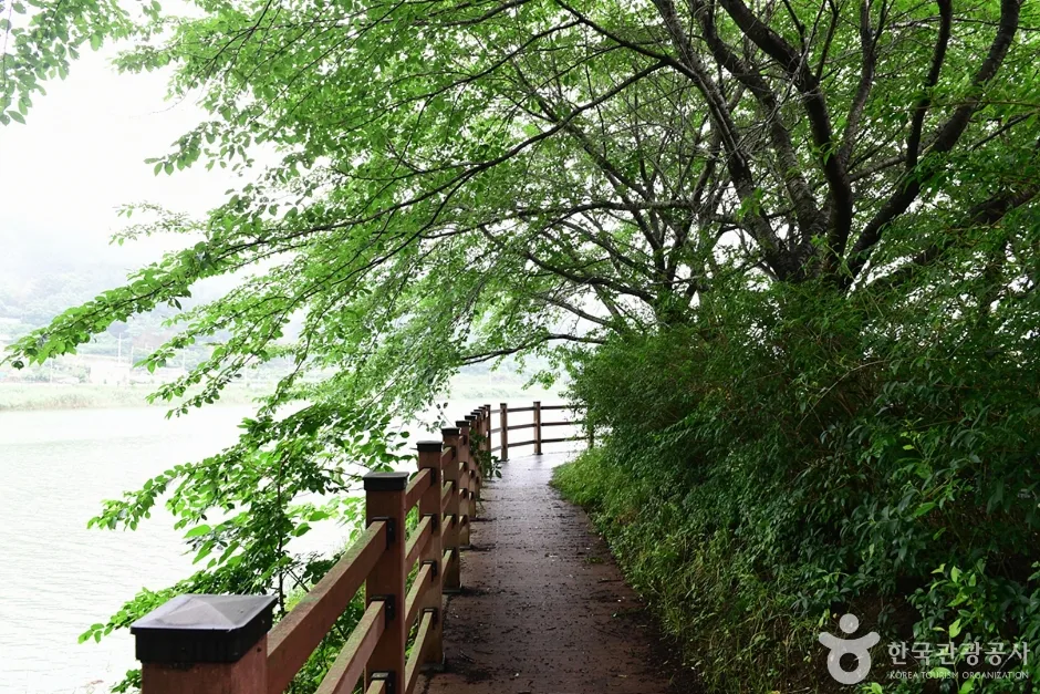 전남_여수_승월마을_저수지 탐방로1