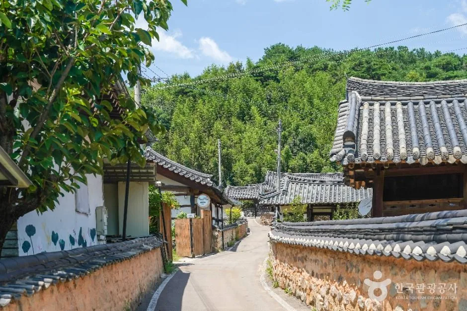 고령_개실마을 (7)