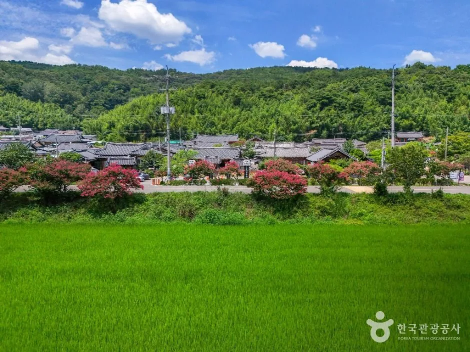 고령_개실마을 (3)