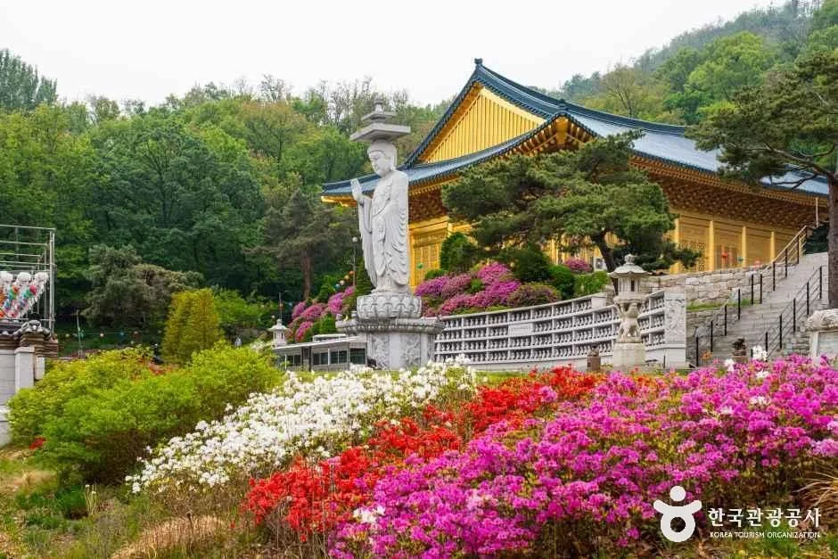 서울_수국사(서울) (2)