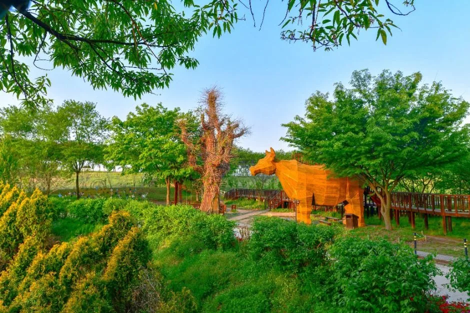 예산_아그로랜드 태신목장 (2)