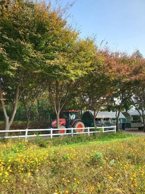 예산_아그로랜드 태신목장 (9)