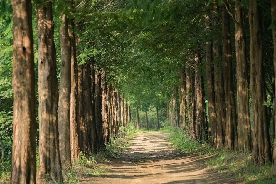 예산_아그로랜드 태신목장 (5)
