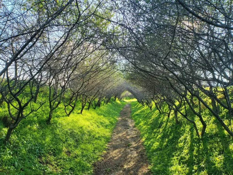 예산_아그로랜드 태신목장 (15)
