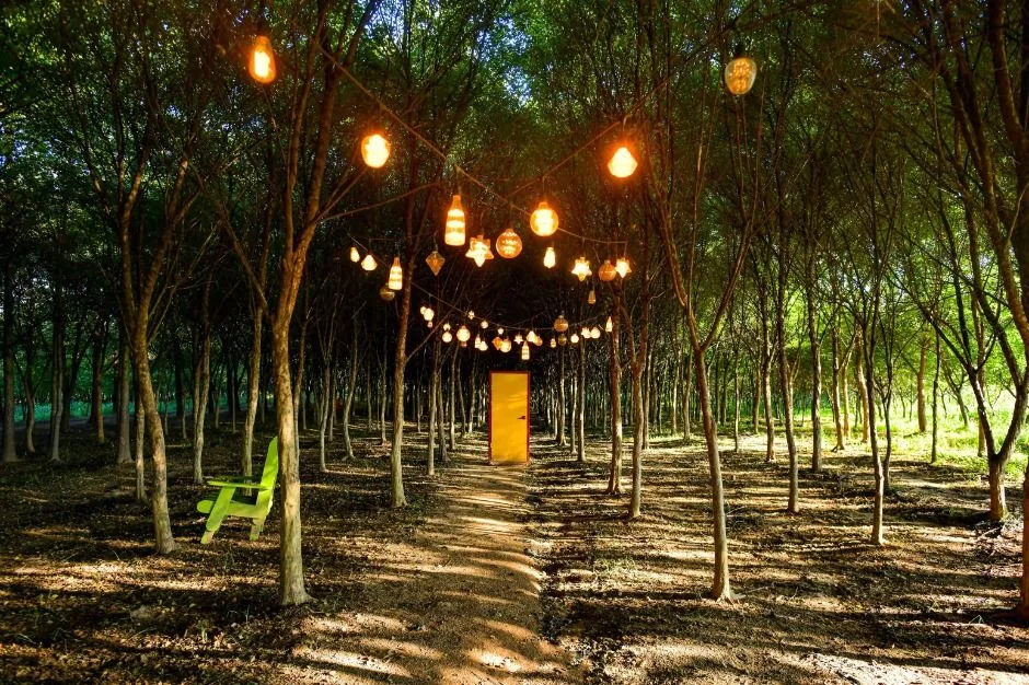 예산_아그로랜드 태신목장 (7)