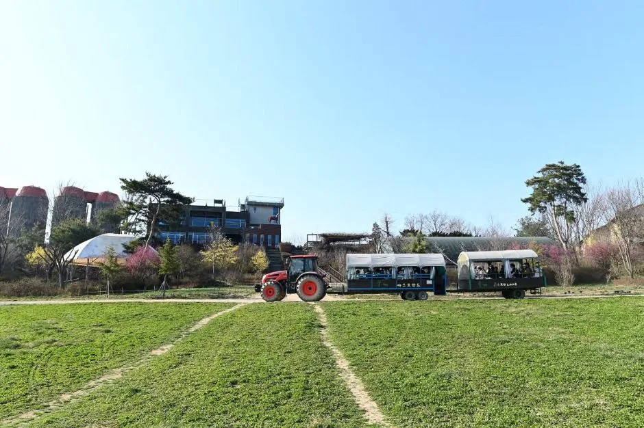 예산_아그로랜드 태신목장 (10)