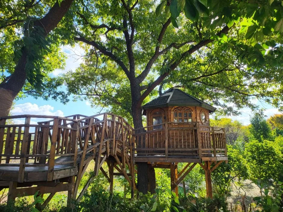 예산_아그로랜드 태신목장 (11)