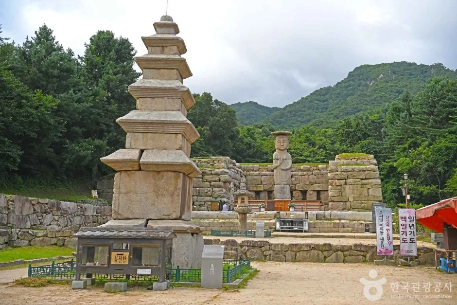 충주 미륵리 석조여래입상 (6)