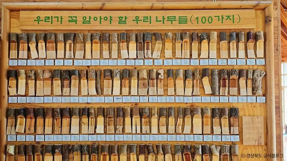 봉화_봉화목재문화체험장 (8)