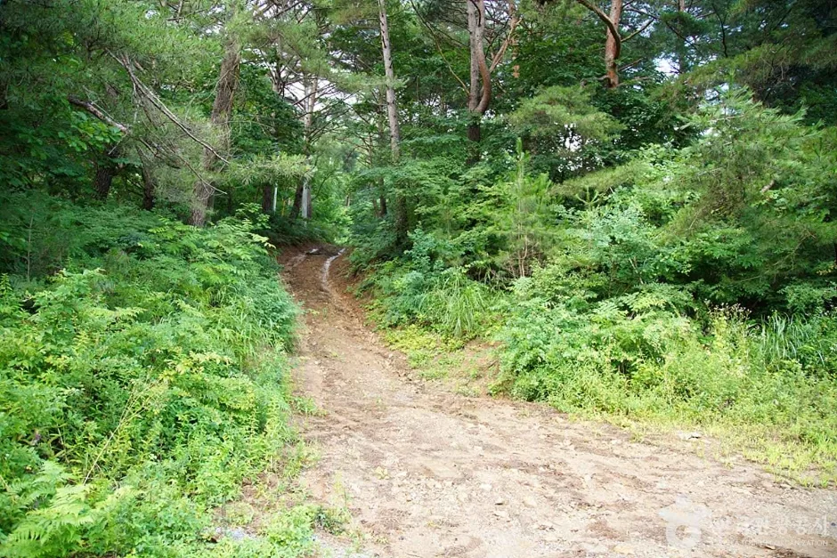 선달산 (05)