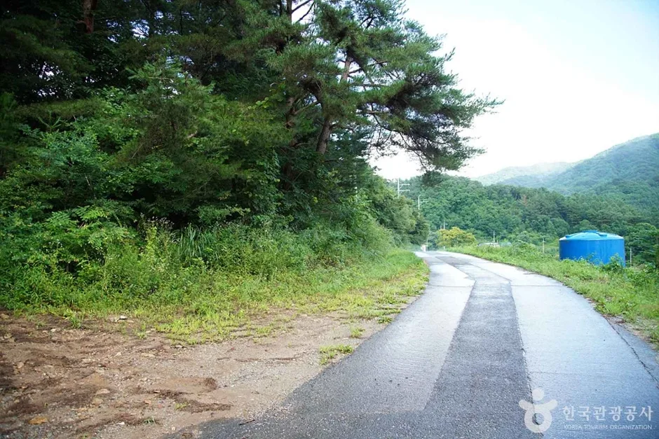 선달산 (06)