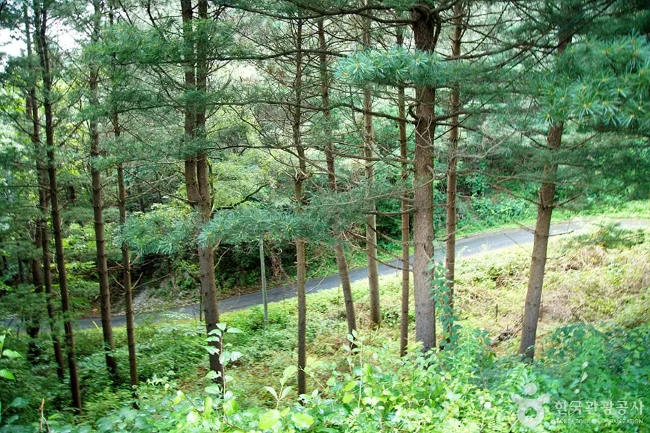 선달산 (08)