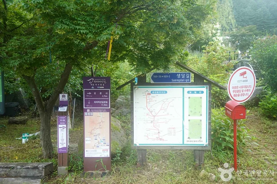선달산 (14)