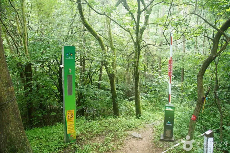 선달산 (04)