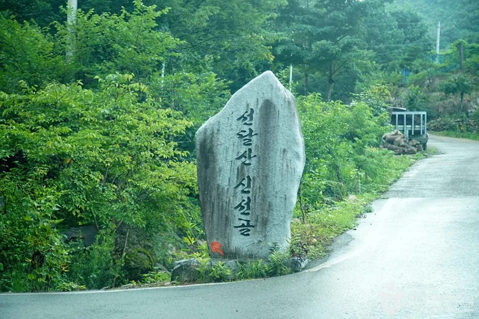 선달산 (17)