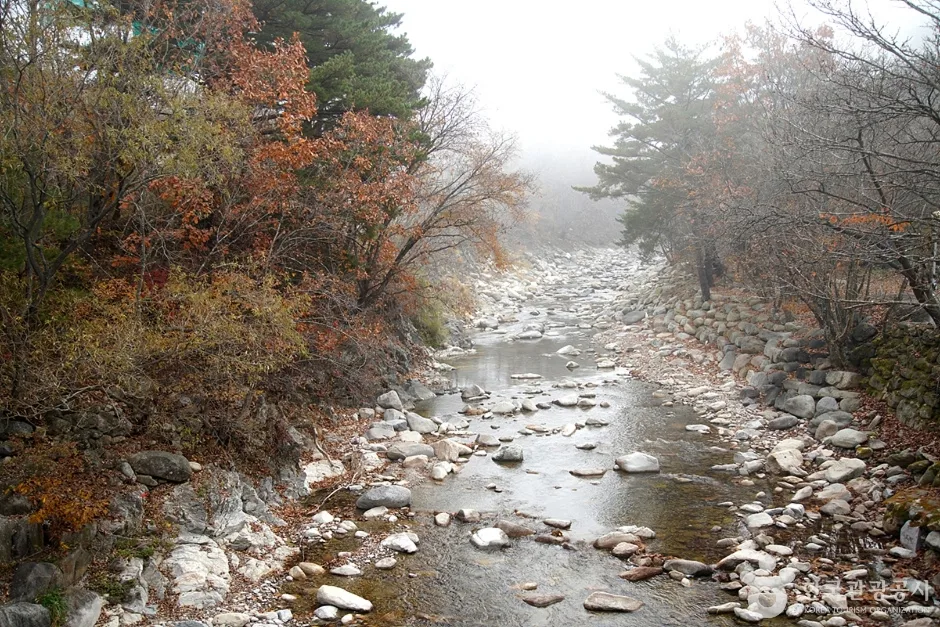 미시령계곡 (12)
