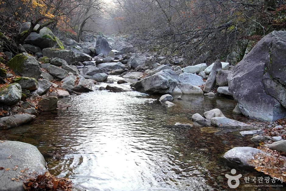 미시령계곡 (13)