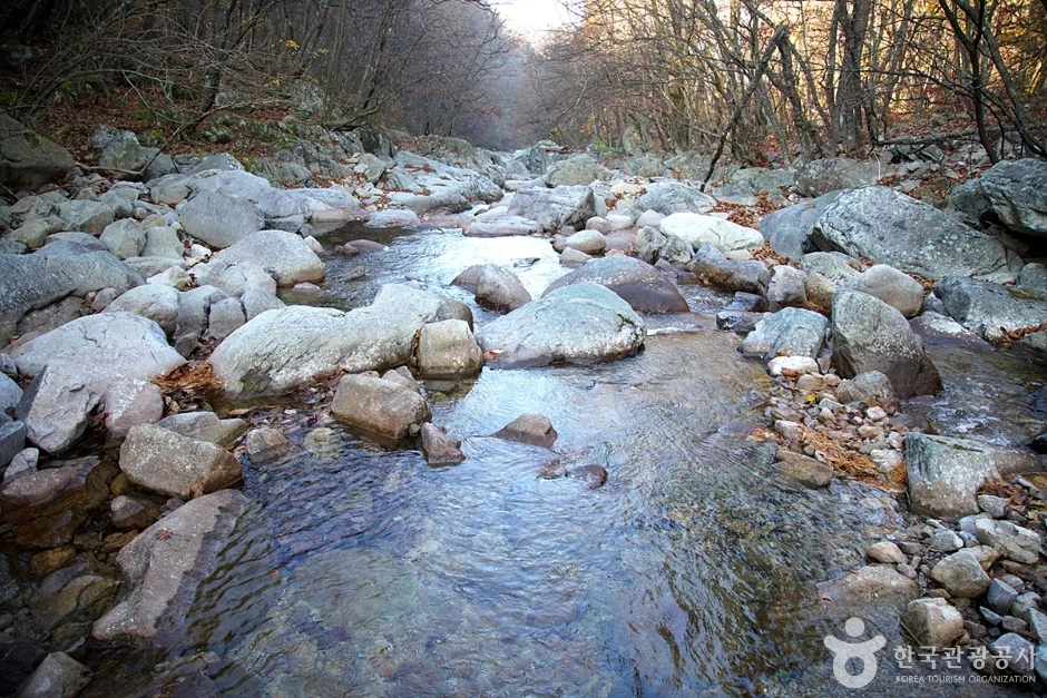 미시령계곡 (17)