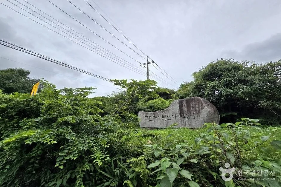 명월대_e (10)