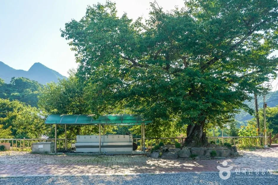 칠곡_가산산성마을 (4)