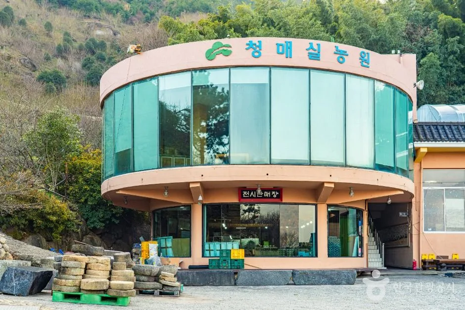 홍쌍리 청매실농원