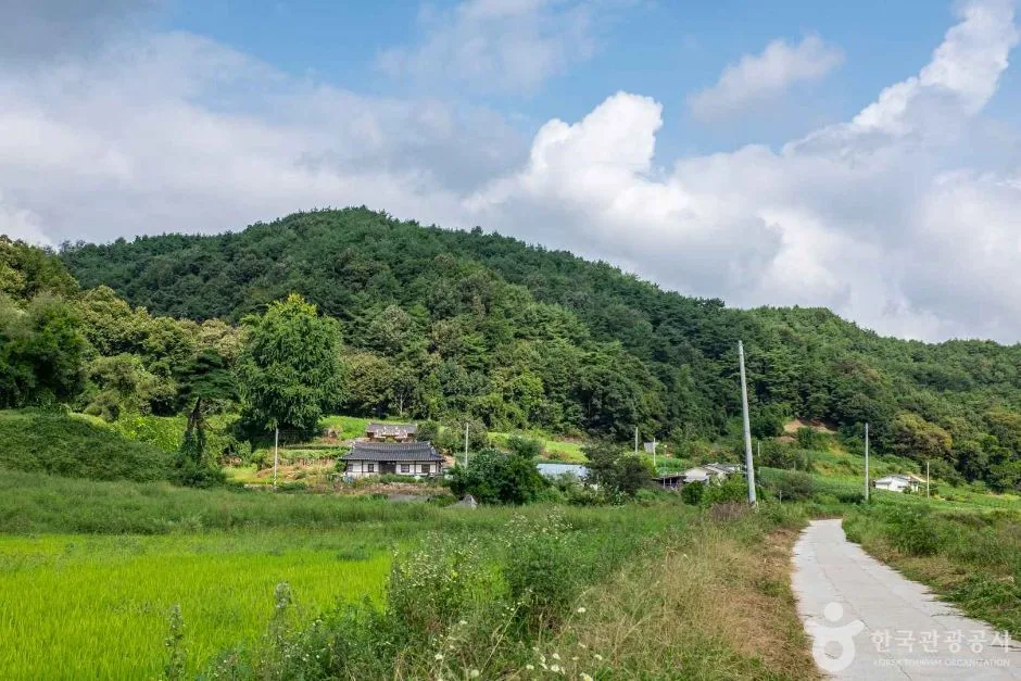 경북_봉화_행계서원 (1)