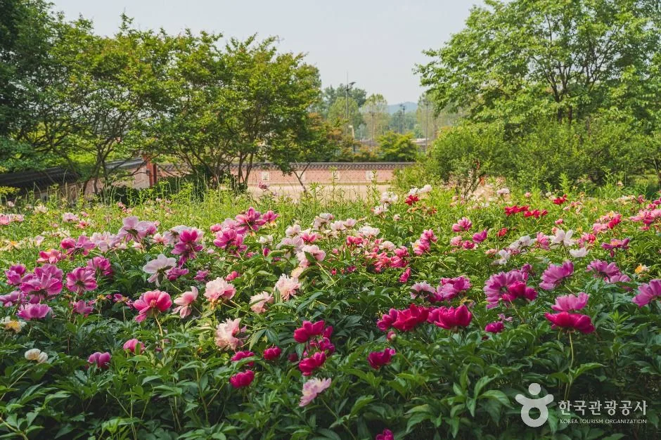 서울_국립중앙박물관 전통염료식물원 (2)